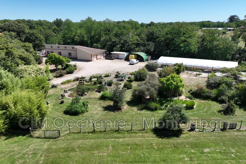 Vente maison Castelsarrasin  