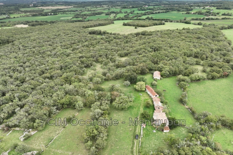 Vente ferme Caylus  