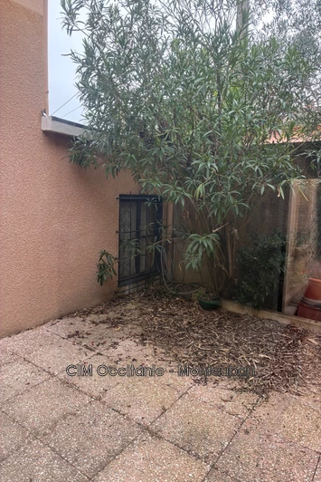 Vente maison Montauban  
