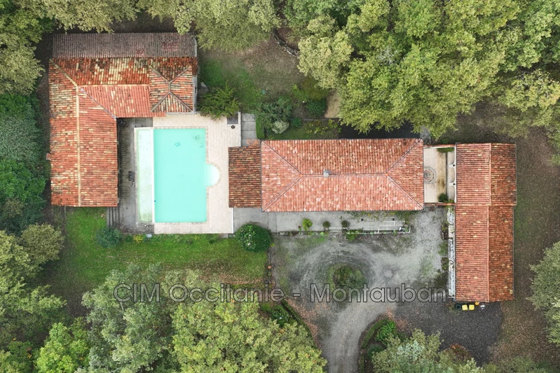 Vente maison Ambres  Vente maison Ambres