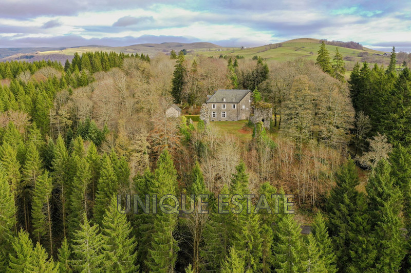 Vente château Marcenat  