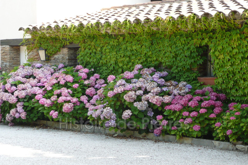 Vente maison Grimaud  