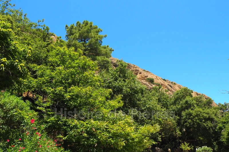 Vente maison La Garde-Freinet  