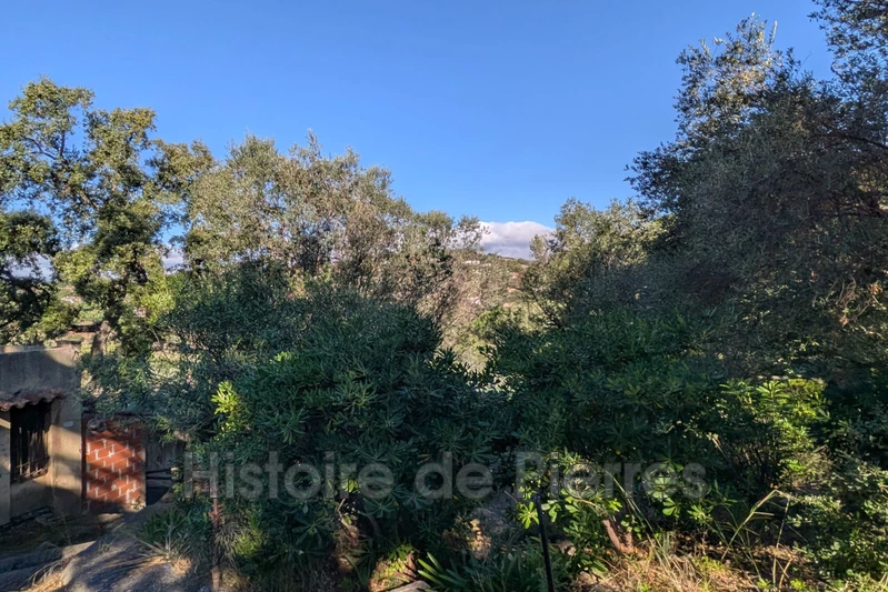 Vente maison Grimaud  