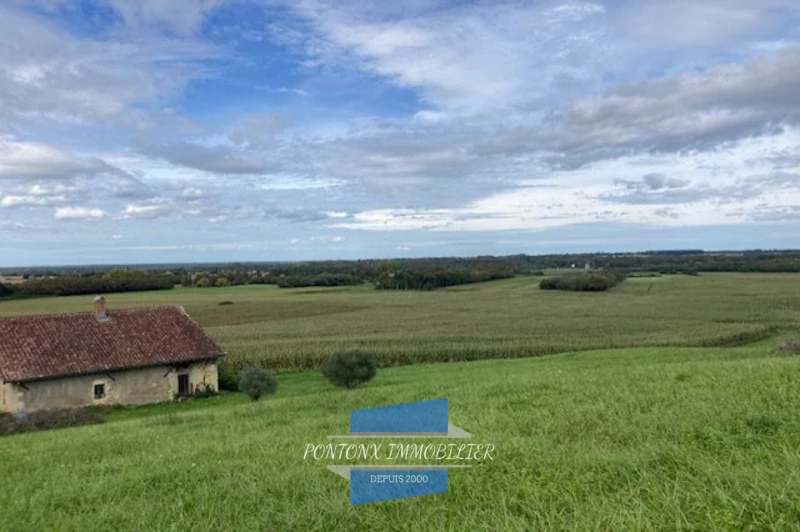Vente ferme Saint-Geours-d'Auribat  