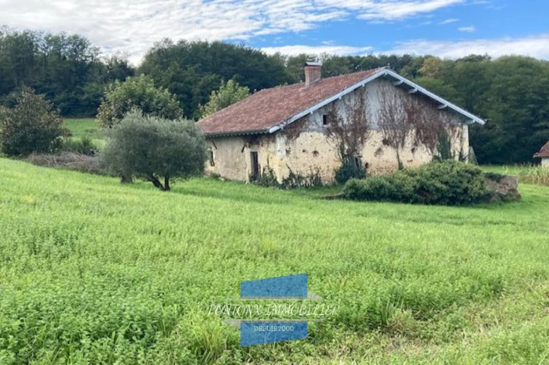 Vente ferme Saint-Geours-d'Auribat  