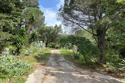 Location saisonnière maison La Garde-Freinet  