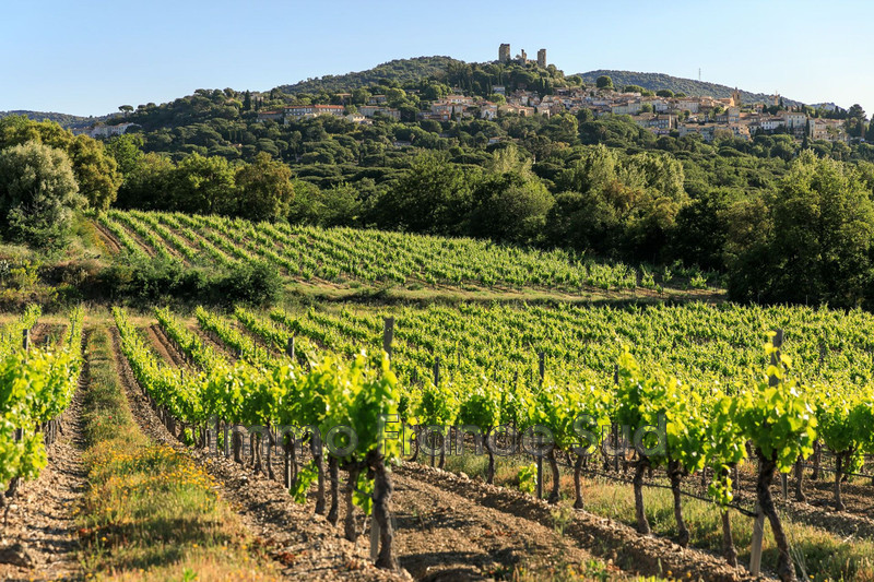 Location saisonnière maison de village La Garde-Freinet  