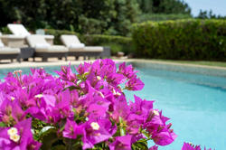 Location saisonnière villa provençale La Garde-Freinet  
