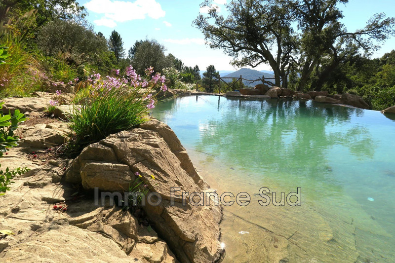 Photo n°4 -  Maison villa La Garde-Freinet 83680 - 9 950 €