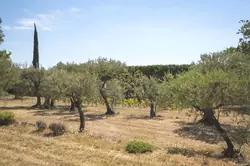 Vente villa provençale Tourtour  