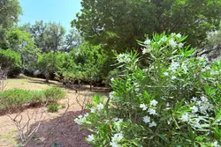 Vente bergerie La Garde-Freinet  