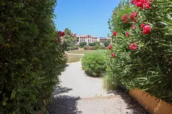 Vente duplex Gassin  