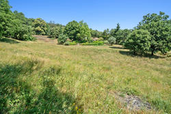 Vente bergerie La Garde-Freinet  