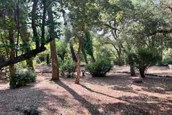 Vente maison La Garde-Freinet  