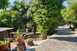 Vente maison La Garde-Freinet  