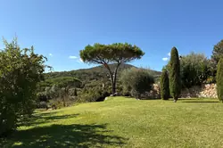 Vente villa Grimaud  