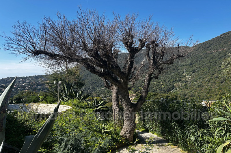 Photo n°4 - Vente Maison mazet Cavalaire-sur-Mer 83240 - 749 000 €
