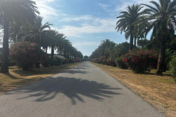 Vente appartement Cavalaire-sur-Mer  