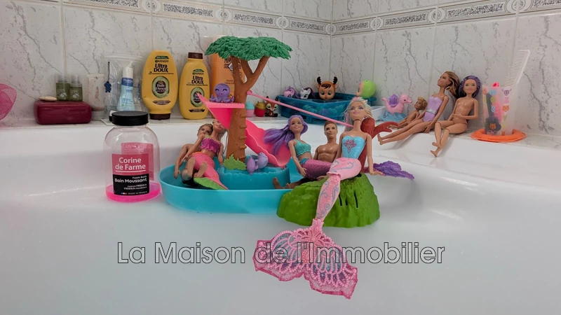 Vente maison Les Authieux-sur-le-Port-Saint-Ouen  