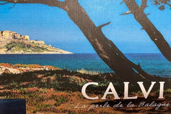 Vente appartement Calvi  