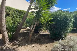 Vente appartement La Ciotat  