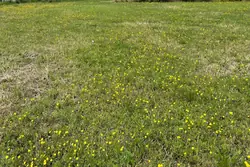 Vente terrain à bâtir Roquevaire  