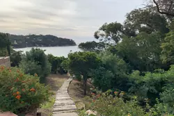 Location saisonnière maison Rayol-Canadel-sur-Mer  