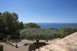 Location saisonnière maison Rayol-Canadel-sur-Mer  