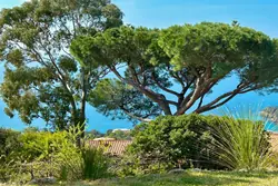 Location saisonnière villa Rayol-Canadel-sur-Mer  