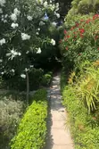 Location saisonnière maison Le Lavandou  