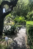 Location saisonnière appartement Rayol-Canadel-sur-Mer  