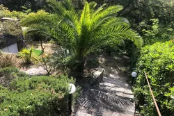 Location saisonnière appartement Rayol-Canadel-sur-Mer  