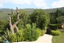 Location saisonnière maison Rayol-Canadel-sur-Mer  