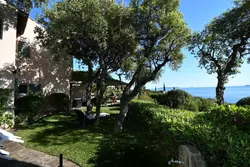 Location saisonnière maison Le Lavandou  