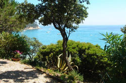 Location saisonnière maison Rayol-Canadel-sur-Mer  