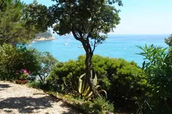 Location saisonnière maison Rayol-Canadel-sur-Mer  