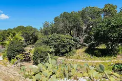 Location saisonnière villa Rayol-Canadel-sur-Mer  