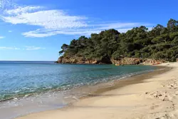 Location saisonnière maison Le Lavandou  