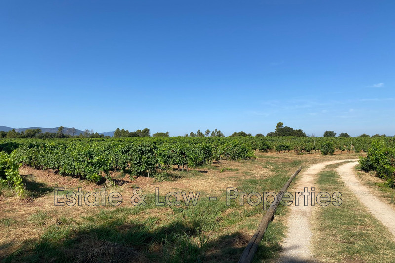 Photo n°12 - Vente maison de campagne La Garde-Freinet 83680 - 1 290 000 €