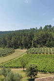 Vente maison Lorgues  