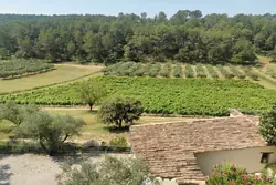Vente maison Lorgues  