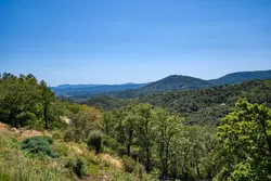 Vente maison de campagne La Garde-Freinet  