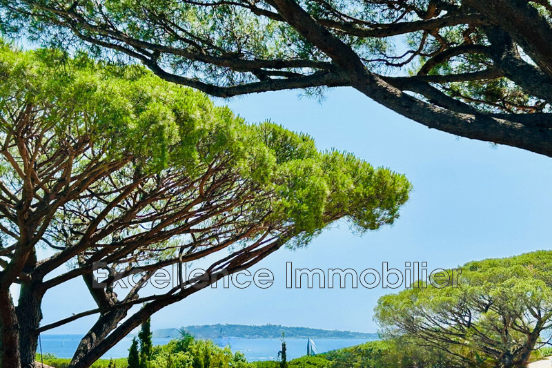 Photo n°2 - Vente Maison villa Grimaud 83310 - 3 200 000 €
