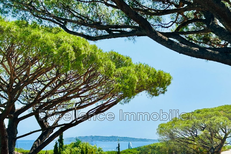 Photo n°2 - Vente Maison villa Grimaud 83310 - 2 990 000 €