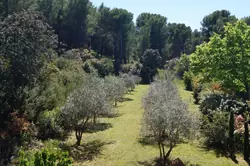 Location saisonnière maison Ventabren 