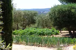 Location villa Marseille 