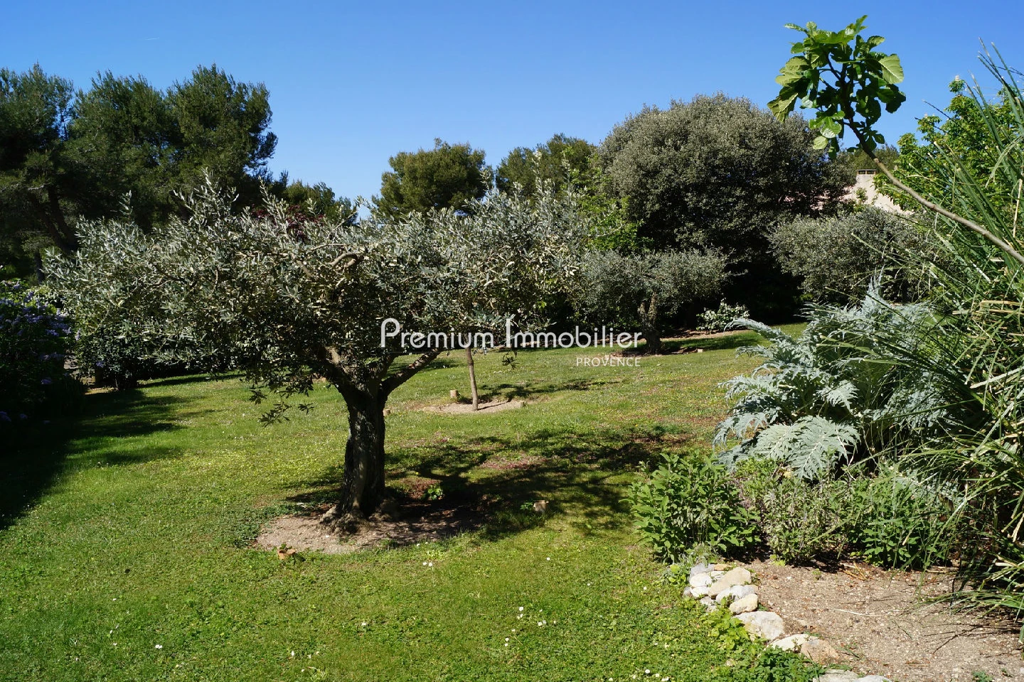 Location saisonnière villa Aix-en-Provence 