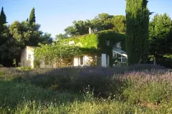 Location saisonnière villa Aix-en-Provence 