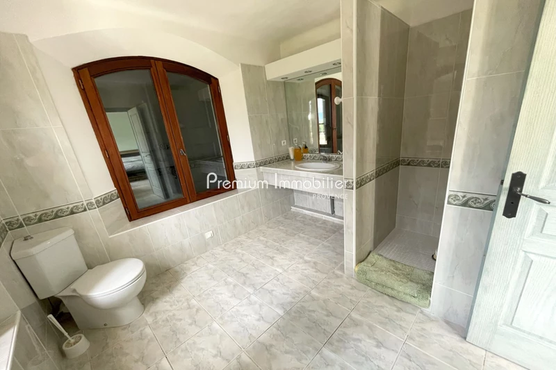 Professionnel murs immeuble Pertuis  